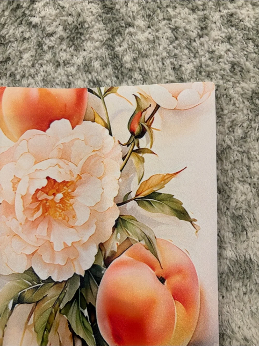 Peach Floral Spiral Writers Journal Notebook NWT 6x8.5”